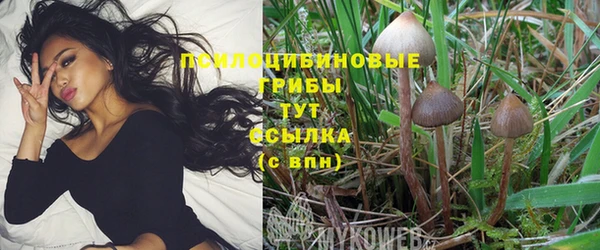 синтетический гашиш Бугульма